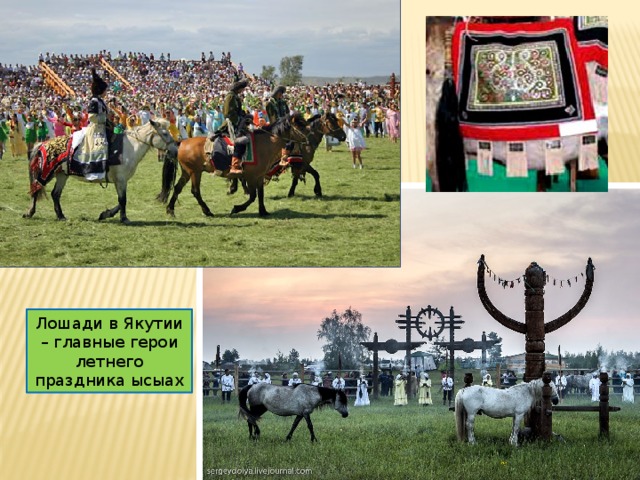 Лошади в Якутии – главные герои летнего праздника ысыах