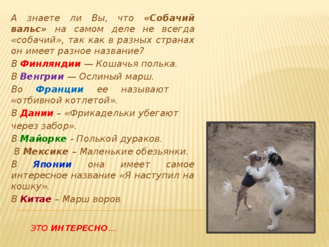 А знаете ли Вы, что «Собачий вальс» на самом деле не всегда «собачий», так как в разных странах он имеет разное название? В Финляндии — Кошачья полька. В Венгрии — Ослиный марш. Во Франции ее называют «отбивной котлетой». В Дании  – «Фрикадельки убегают через забор». В Майорке  - Полькой дураков.  В Мексике – Маленькие обезьянки. В Японии она имеет самое интересное название «Я наступил на кошку». В Китае – Марш воров .  Это интересно …