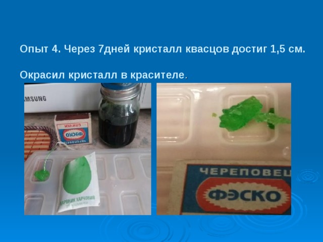 Опыт 4. Через 7дней кристалл квасцов достиг 1,5 см.   Окрасил кристалл в красителе .