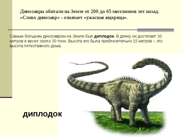 Динозавры обитали на Земле от 200 до 65 миллионов лет назад.  «Слово динозавр» - означает «ужасная ящерица».   Самым большим динозавром на Земле был диплодок. В длину он достигает 30 метров и весил около 30 тонн. Высота его была приблизительно 15 метров – это высота пятиэтажного дома. диплодок