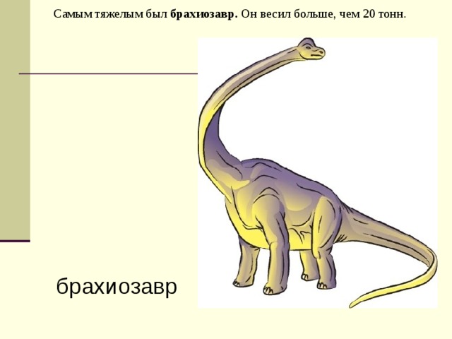 Самым тяжелым был брахиозавр. Он весил больше, чем 20 тонн.     брахиозавр