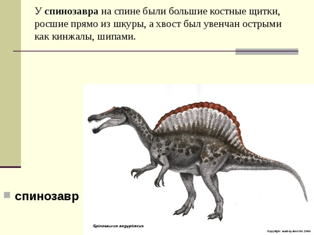 У спинозавра на спине были большие костные щитки, росшие прямо из шкуры, а хвост был увенчан острыми как кинжалы, шипами.