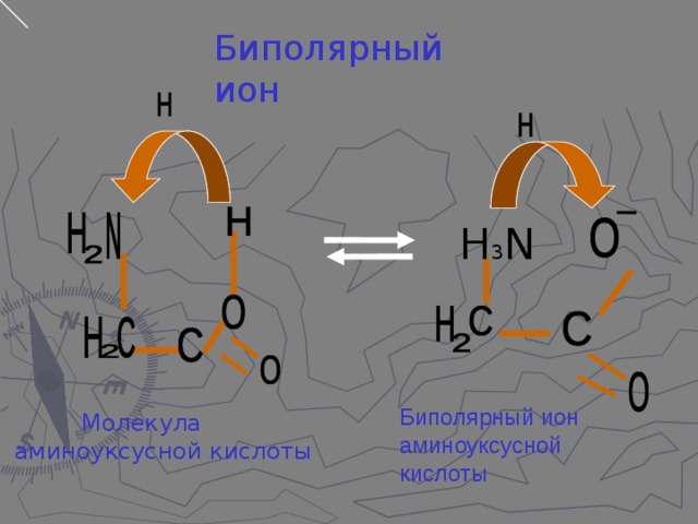 Биполярный ион H 3 N Биполярный ион аминоуксусной кислоты  Молекула  аминоуксусной кислоты