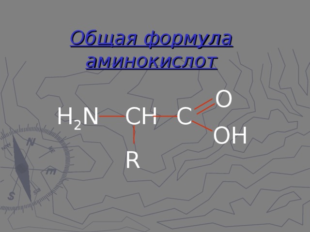 Общая формула аминокислот O C H 2 N CH OH R