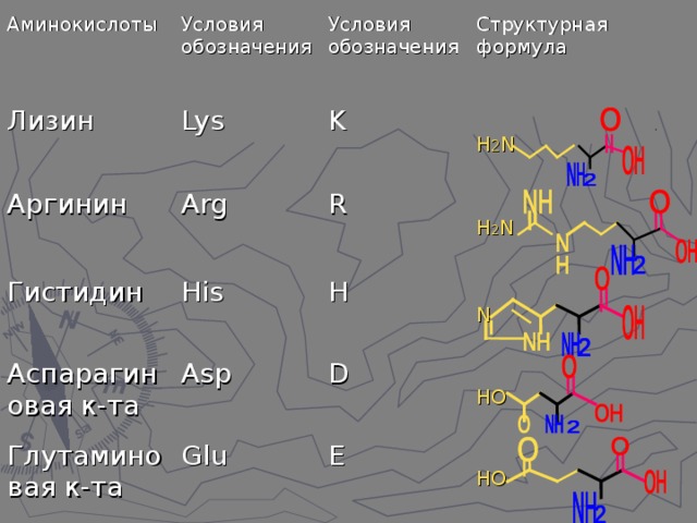 Аминокислоты Лизин Условия обозначения Lys Условия обозначения Аргинин Гистидин K Структурная формула Arg R His Аспарагиновая к-та Глутаминовая к-та H Asp Н 2 N D N Glu Н 2 N E НО НО