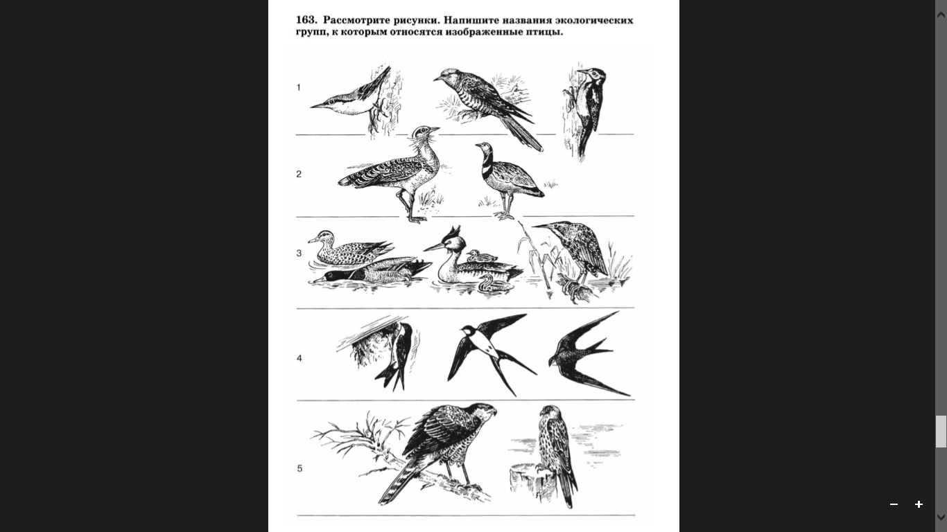 Экологические типы птиц примеры
