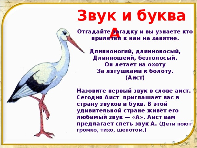 Аист количество звуков. Аист звуковая схема. Звуки аиста. Схема слова Аист. Аист звуки и буквы.