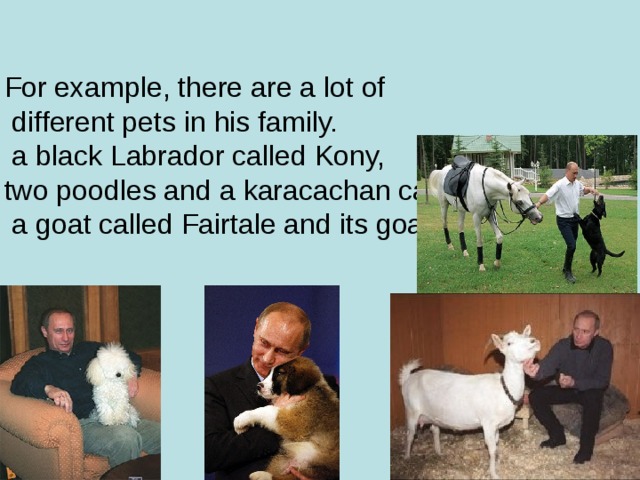 For example, there are a lot of  different pets in his family.  a black Labrador called Kony,  two poodles and a karacachan called Buffy,  a goat called Fairtale and its goatling.