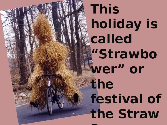 This holiday is called “Strawbower” or the festival of the Straw Bear.