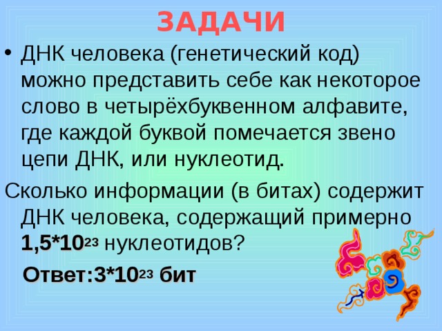 ЗАДАЧИ ДНК человека (генетический код) можно представить себе как некоторое слово в четырёхбуквенном алфавите, где каждой буквой помечается звено цепи ДНК, или нуклеотид. Сколько информации (в битах) содержит ДНК человека, содержащий примерно 1,5*10 23  нуклеотидов?  Ответ:3*10 23 бит