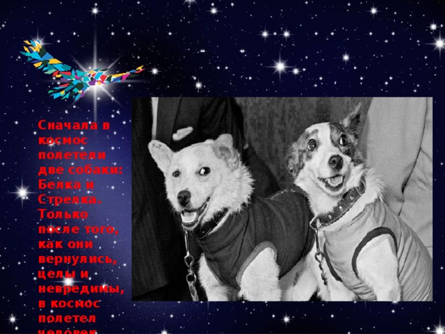 Сначала в космос полетели две собаки: Белка и Стрелка. Только после того, как они вернулись, целы и невредимы, в космос полетел человек.