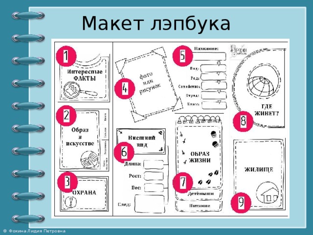 Проект лэпбук для дошкольников