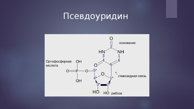 Псевдоуридин