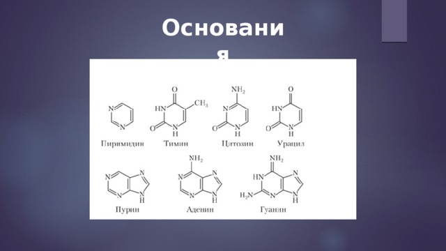 Основания