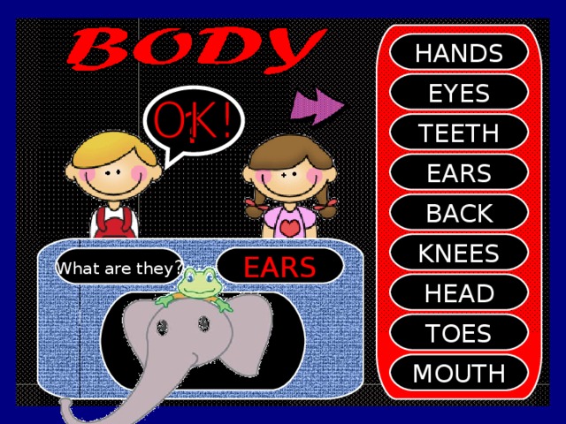 HANDS EYES ? TEETH EARS BACK KNEES EARS What are they ? HEAD TOES MOUTH
