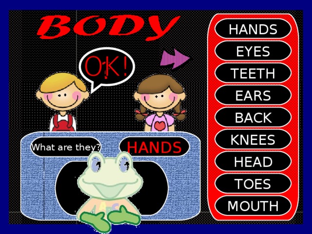 HANDS EYES ? TEETH EARS BACK KNEES HANDS What are they? HEAD TOES MOUTH