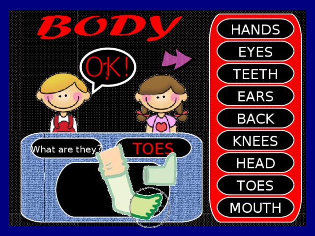 HANDS EYES ? TEETH EARS BACK KNEES TOES What are they ? HEAD TOES MOUTH