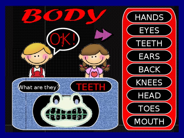 SHI HANDS EYES ? TEETH EARS BACK KNEES TEETH What are they ? HEAD TOES MOUTH