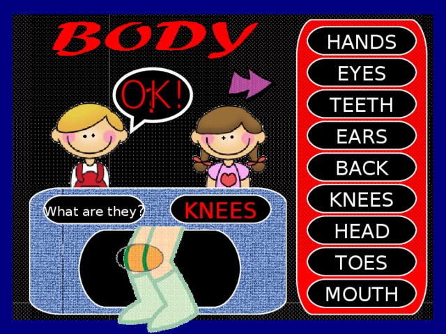 HANDS EYES ? TEETH EARS BACK KNEES KNEES What are they ? HEAD TOES MOUTH