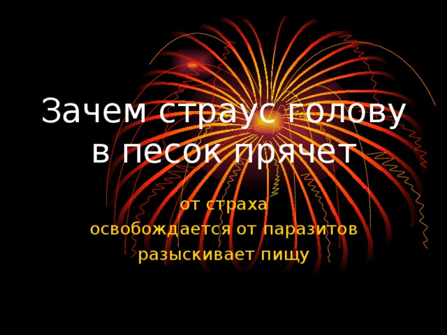 Зачем страус голову в песок прячет от страха освобождается от паразитов разыскивает пищу