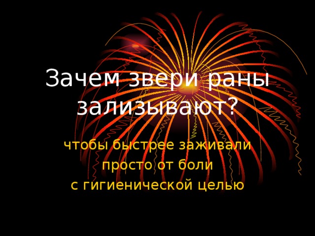 Зачем звери раны зализывают? чтобы быстрее заживали просто от боли с гигиенической целью