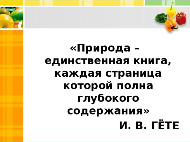 «Природа – единственная книга, каждая страница которой полна глубокого содержания»  И. В. ГЁТЕ