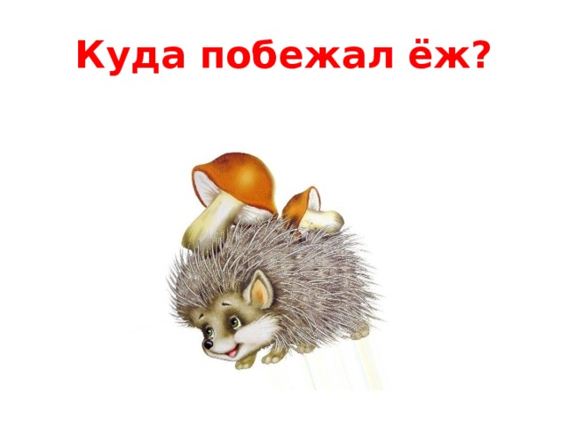 Куда побежал ёж?