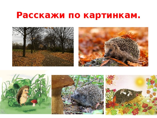 Расскажи по картинкам.