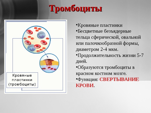 Тромбоциты