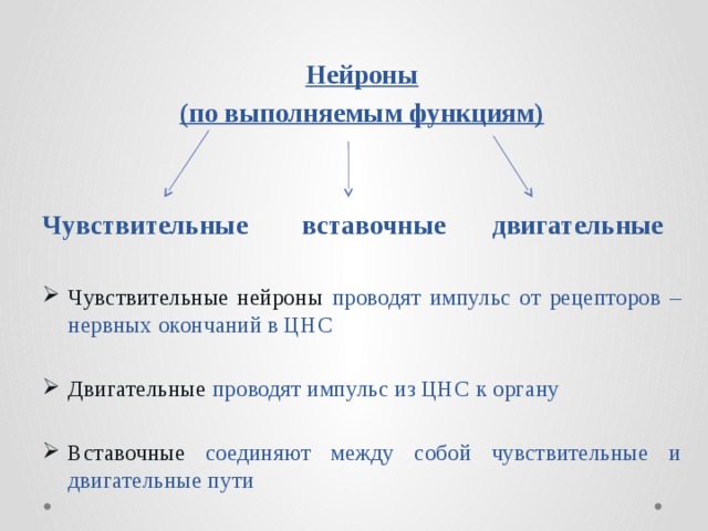 Нейроны (по выполняемым функциям) Чувствительные  вставочные  двигательные  Чувствительные нейроны проводят импульс от рецепторов – нервных окончаний в ЦНС Двигательные проводят импульс из ЦНС к органу Вставочные соединяют между собой чувствительные и двигательные пути