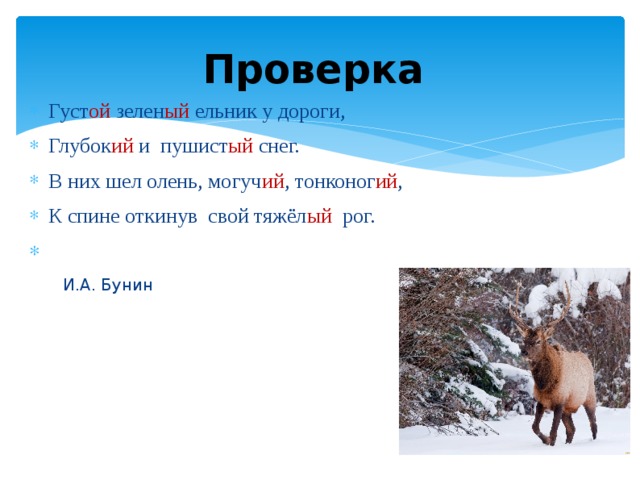 Проверка