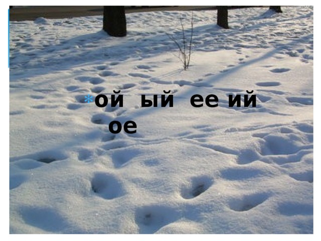 ой ый ее ий ое