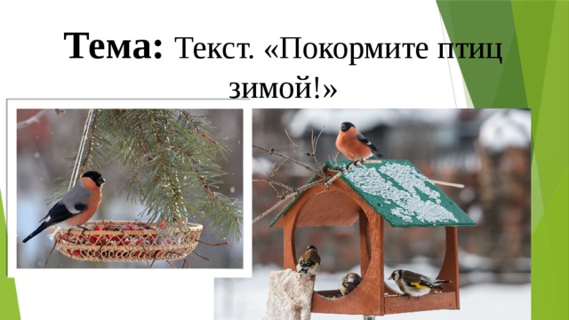 Тема: Текст. «Покормите птиц зимой!»