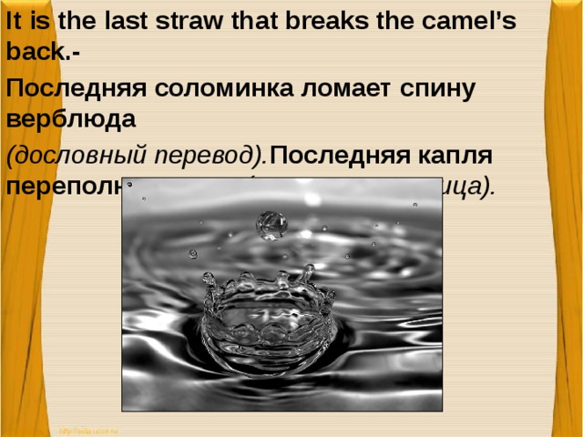 It is the last straw that breaks the camel’s back.- Последняя соломинка ломает спину верблюда (дословный перевод). Последняя капля переполняет чашу (русская пословица).