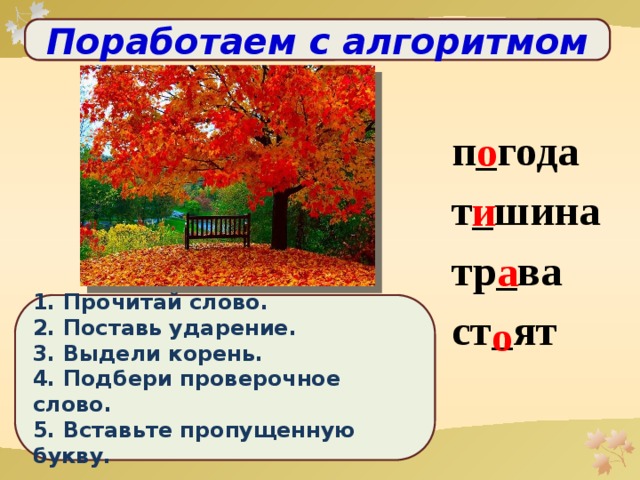 Поработаем с алгоритмом  п_года т_шина тр_ва ст_ят о и а 1. Прочитай слово. 2. Поставь ударение. 3. Выдели корень. 4. Подбери проверочное слово. 5. Вставьте пропущенную букву. о