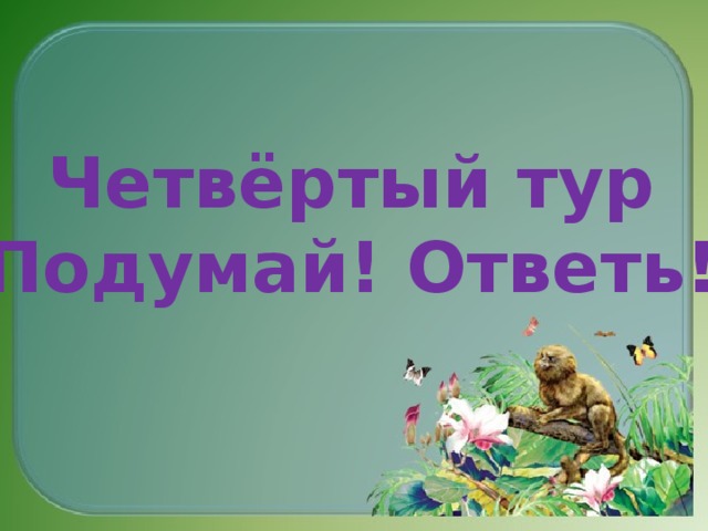 Четвёртый тур «Подумай! Ответь!»