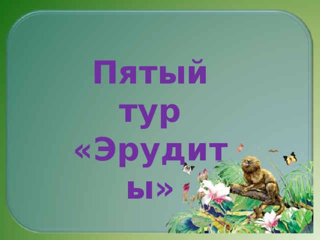 Пятый тур «Эрудиты»