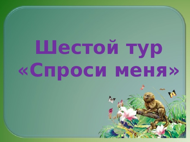 Шестой тур «Спроси меня»