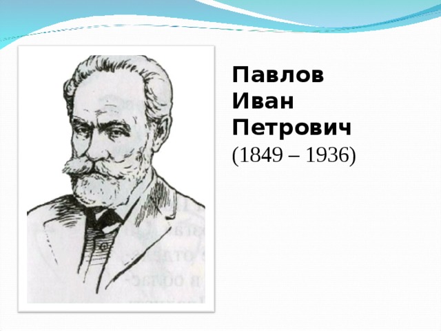 Павлов Иван Петрович (1849 – 1 9 36)