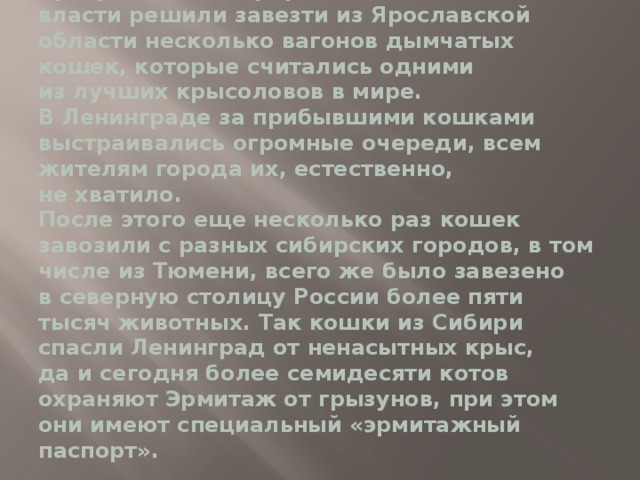 Сразу же после прорыва блокады местные власти решили завезти из Ярославской области несколько вагонов дымчатых кошек, которые считались одними из лучших крысоловов в мире. В Ленинграде за прибывшими кошками выстраивались огромные очереди, всем жителям города их, естественно, не хватило.  После этого еще несколько раз кошек завозили с разных сибирских городов, в том числе из Тюмени, всего же было завезено в северную столицу России более пяти тысяч животных. Так кошки из Сибири спасли Ленинград от ненасытных крыс, да и сегодня более семидесяти котов охраняют Эрмитаж от грызунов, при этом они имеют специальный «эрмитажный паспорт».