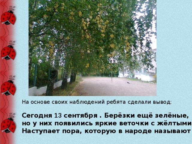 На основе своих наблюдений ребята сделали вывод:  Сегодня 13 сентября . Берёзки ещё зелёные, но у них появились яркие веточки с жёлтыми листочками. Наступает пора, которую в народе называют ранняя осень.