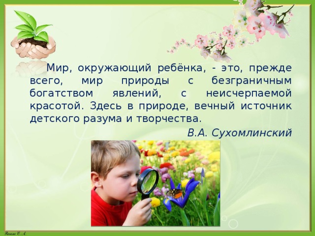 Мир, окружающий ребёнка, - это, прежде всего, мир природы с безграничным богатством явлений, с неисчерпаемой красотой. Здесь в природе, вечный источник детского разума и творчества. В.А. Сухомлинский