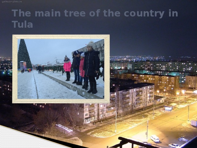 The main tree of the country in Tula
