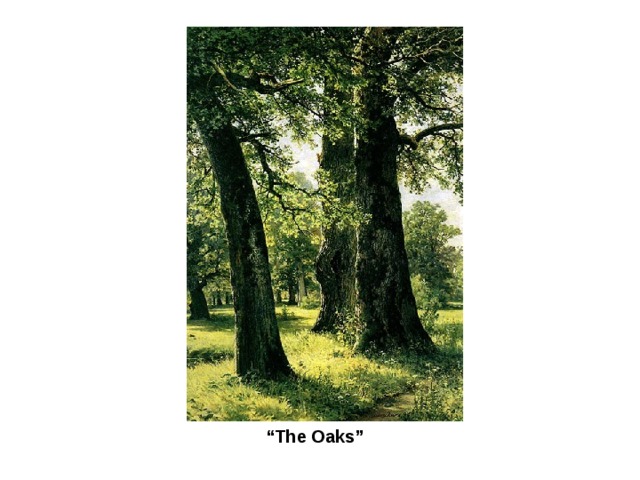 “ The Oaks”