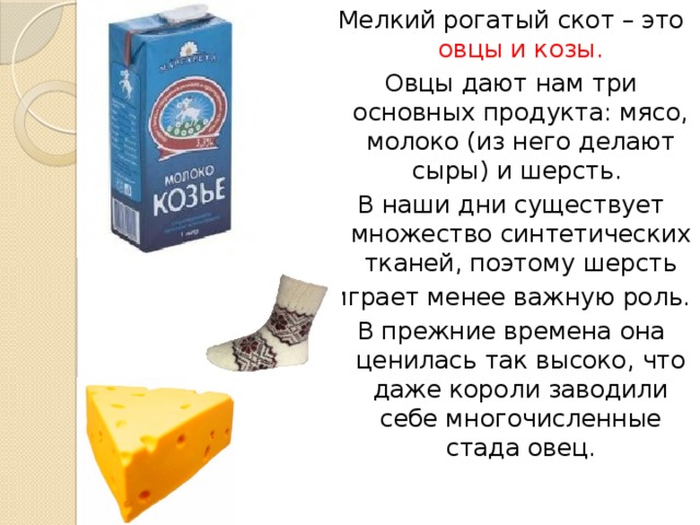 Мелкий рогатый скот – это овцы и козы. Овцы дают нам три основных продукта: мясо, молоко (из него делают сыры) и шерсть. В наши дни существует множество синтетических тканей, поэтому шерсть играет менее важную роль. В прежние времена она ценилась так высоко, что даже короли заводили себе многочисленные стада овец.