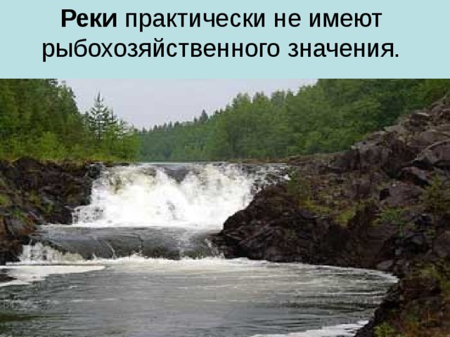 Реки практически не имеют рыбохозяйственного значения.