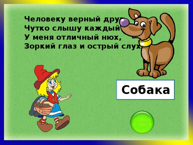 Человеку верный друг, Чутко слышу каждый звук. У меня отличный нюх, Зоркий глаз и острый слух. Собака