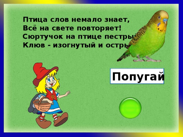 Птица слов немало знает, Всё на свете повторяет! Сюртучок на птице пестрый, Клюв - изогнутый и острый! Попугай