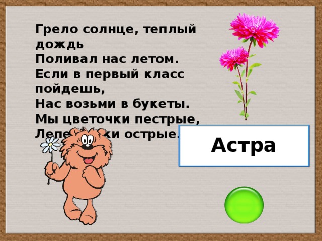 Грело солнце, теплый дождь Поливал нас летом. Если в первый класс пойдешь, Нас возьми в букеты. Мы цветочки пестрые, Лепесточки острые. Астра