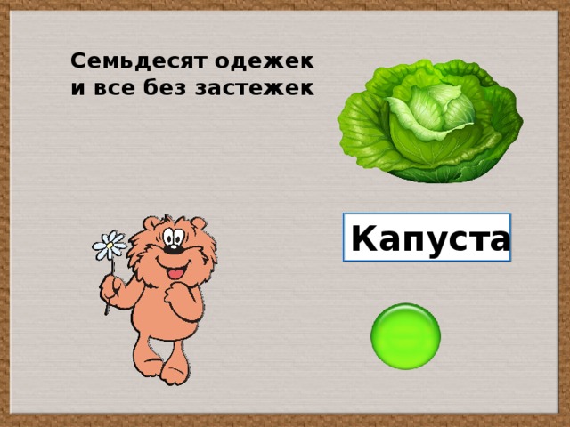 Сто одежек и все без застежек. Загадка без счету одежек и все без застежек. СТО одёжек и все без застёжек загадка. Одежек застежек загадка. Семьдесят одежек и все без застежек.